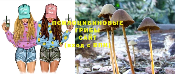 марки nbome Алзамай