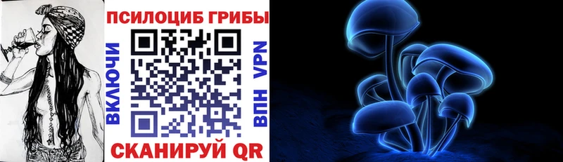 как найти наркотики  блэк спрут зеркало  Псилоцибиновые грибы Magic Shrooms  Северская 
